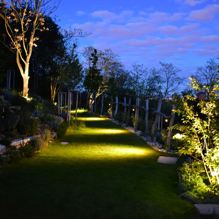 Osvětlená zahrada 