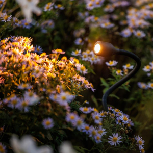 Dekorativní zahradní osvětlení Xible 12V Lightpro 