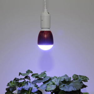 LED osvětlení pro přezimování rostlin 