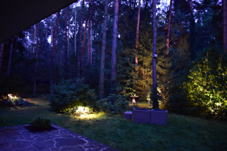 Osvětlení lesní zahrady vytváří jevištní scénu. 