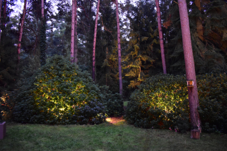 Scénické osvětlení lesní zahrady 