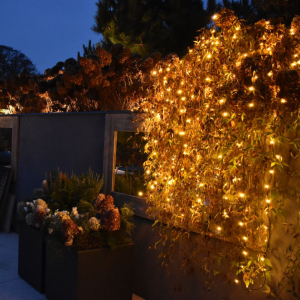 Vánoční venkovní LED řetěz Linea 1 Garden Lights 