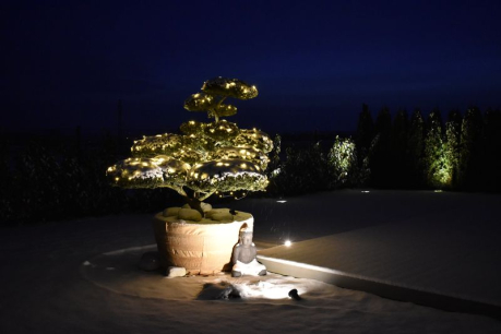 Venkovní vánoční LED osvětlení 12V Linea Garden Lights bonsaj 