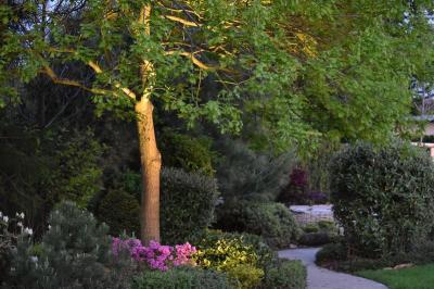 Osvětlení stromů a keřů v zahradě s osvětlovacím systémem LiGHTPRO