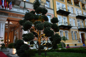 Dekorativní nasvícení venkovního stromku 