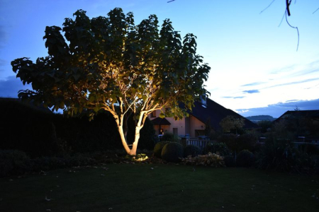 Nasvícení stromu v zahradě 