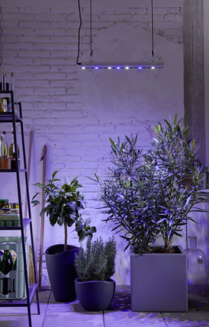 osvětlení pro přezimování rostlin GrowLight Quattro 