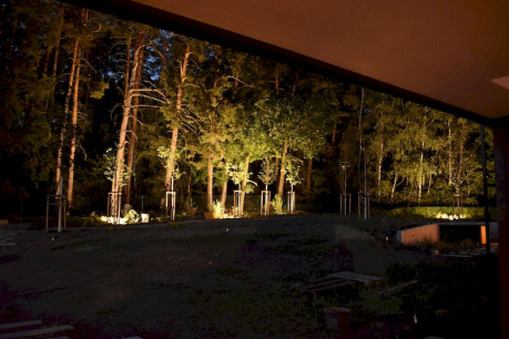 Osvětlení vzorstlých stromů v zahradě výhled z terasy 