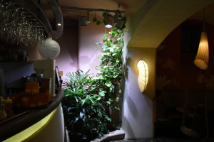 Pěstební LED svítidlo pro osvětlení rostlin v interiéru 