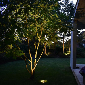 Zahradní osvětlení stromů 